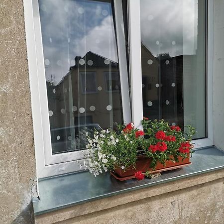 Dzivoklis Vecpilseta Apartman Bauska Kültér fotó