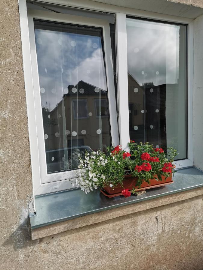 Dzivoklis Vecpilseta Apartman Bauska Kültér fotó